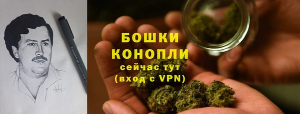 гидра Белокуриха