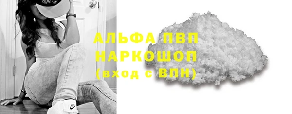 гидра Белокуриха