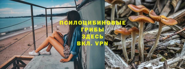 гидра Белокуриха