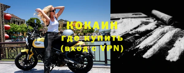 прущий лед Богданович