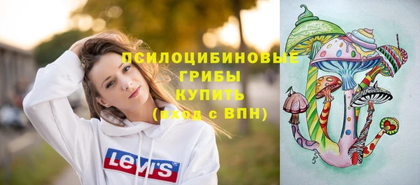 прущий лед Богданович