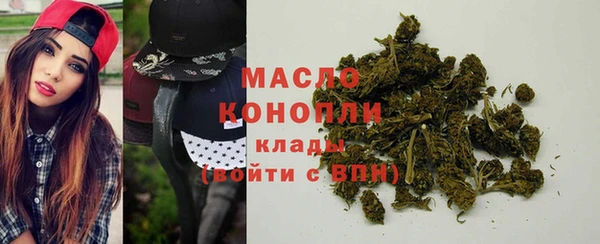 прущий лед Богданович