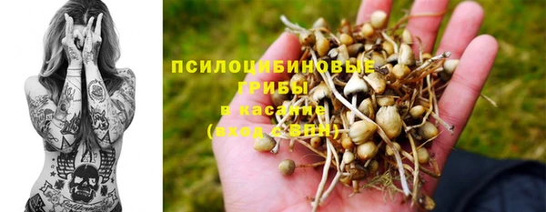 прущий лед Богданович