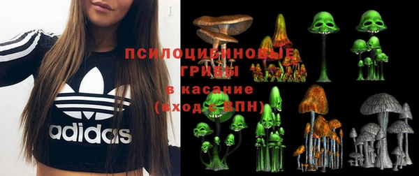 гидропоника Беломорск